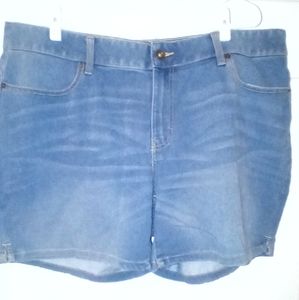 Terra & Sky denim shorrs